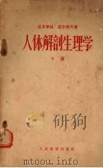 人体解剖生理学 下 1956 PDF电子版封面 (苏联)马尔柯夫著