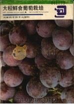 大粒鲜食葡萄栽培 1989 PDF电子版封面 7534903793 王鹏,郑晓编著