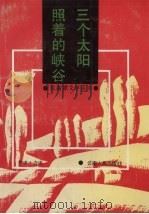 三个太阳照着的峡谷 1991 PDF电子版封面 7222008314 吉成著