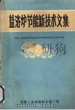 盐浴炉节能新技术文集 兵器工业部盐浴炉快速启动节能技术经验交流专辑 1984 PDF电子版封面 兵器工业部技术推广所编