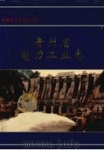 贵州省电力工业志（1996 PDF版）