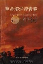 革命熔炉淬青春 东北青干校 东北团校 校史 1994 PDF电子版封面 7561026927 王凤霞等主编
