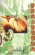 香蕉病虫害看图防治（1999 PDF版）