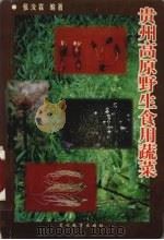 贵州高原野生食用蔬菜 1999 PDF电子版封面 7806500200 张汝霖编著