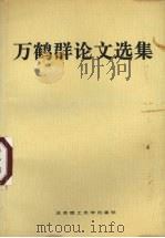 万鹤群论文选集（1992 PDF版）
