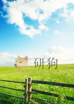 血碑 增补本 PDF电子版封面
