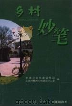 乡村妙笔（ PDF版）