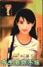 今生非你不嫁（1999 PDF版）