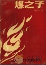 煤之子 1989 PDF电子版封面 7540000198 杨主泽著
