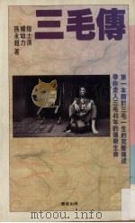 三毛传   1993  PDF电子版封面  9575832965  陆士清，杨幼力，孙永超著 