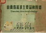 山西省蔬菜主要品种图谱  上（1960 PDF版）