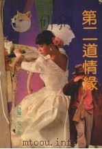 第二道情缘 1991 PDF电子版封面 7536008546 玄小佛著