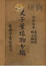 双子叶植物分类（1937 PDF版）