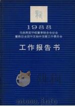 1988年马来西亚华校董事联合会董教总全国华文独中发展工作委员会工作报告书 1989 PDF电子版封面