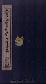 大唐三藏大遍党法师塔铭（ PDF版）
