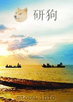 华国锋主席访问伊朗 1978 PDF电子版封面
