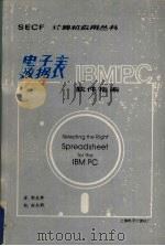 IBM PC电子数据表  软件指南   1984  PDF电子版封面    郭玉英译 