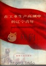 在工业生产高潮中的辽宁青年:辽宁省青年职工为提前完成第一个五年计划开展社会主义竞赛活动分子大会代表发言汇编 1956 PDF电子版封面 T10090·38 中国新民主主义青年团辽宁省委青工部编