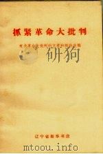 抓紧革命大批判 有关革命大批判的文章和经验选编 1970 PDF电子版封面 辽宁省新华书店编辑