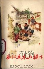 在红豆木山梁下（1956 PDF版）