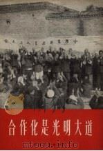 合作化是光明大道 1957 PDF电子版封面 T8028·1387 阿维编