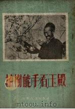 植树能手石玉殿（1954 PDF版）