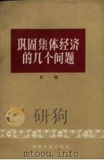 巩固集体经济的几个问题 1963 PDF电子版封面 3091·137 石松著