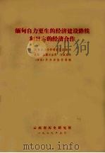 缅甸自力更生的经济建设路线和日本的经济合作 1979 PDF电子版封面 (日本)外务省协作局编