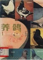养鸽（1988 PDF版）