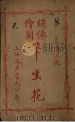 绣像绘图笔生花 卷13-14 PDF电子版封面 (清)邱心如