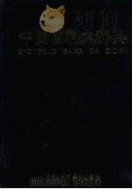 中国百科大辞典 9 1999 PDF电子版封面 7500062125 (王伯恭主编