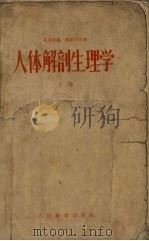 人体解剖生理学 1955 PDF电子版封面 (苏)葛里毕扬(Р.Б.Гарибьян),(苏)马尔柯夫(