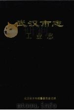 武汉市志  工业志  下   1999  PDF电子版封面  7307027399  武汉市地方志编纂委员会主编 