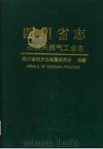 四川省志  石油天然气工业志   1997  PDF电子版封面  7220034997  四川省地方志编纂委员会编纂 