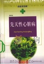 先天性心脏病   1999  PDF电子版封面  7532348652  陈树宝著 