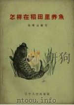 怎样在稻田里养鱼 1960 PDF电子版封面 徐寿山编著