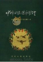 中蜂的改造与管理（1958 PDF版）