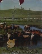 内蒙古 1977 PDF电子版封面 M8089·169 《内蒙古》画集编辑组编