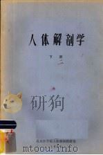 人体解剖学 下 1979 PDF电子版封面 北京医学院人体解剖教研组编