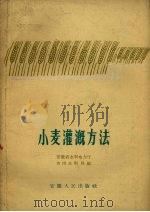 小麦灌溉方法（1959 PDF版）