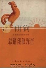 总路线放光芒 1958 PDF电子版封面 江苏文艺出版社编