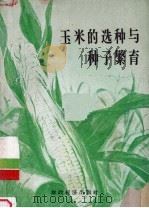 玉米的选种与种子繁育 1956 PDF电子版封面 16005·102 (苏)萨拉莫夫(А.Б.Саламов)著;北京农业大学俄文