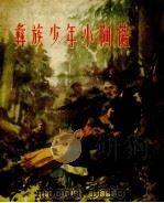 彝族少年小阿萨 1956 PDF电子版封面 朱技能著
