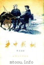 井中栽树 1956 PDF电子版封面 10088.43 韩文洲著;魏振祥绘图