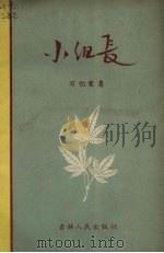 小组长 1956 PDF电子版封面 万忆萱著
