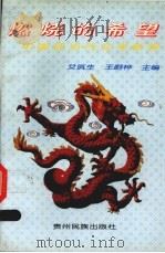 燃烧的希望  中国现当代文学新探（1998 PDF版）