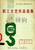职工文艺作品选集 1988 PDF电子版封面 中国有色金属工业总公司第七建设公司文学艺术协会编