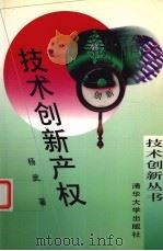 技术创新产权 1999 PDF电子版封面 7302025282 杨武著
