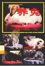 养兔 1982 PDF电子版封面 16089·96 候本荣编著