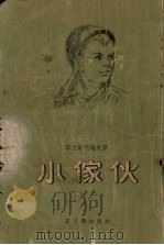小家伙   1955  PDF电子版封面    （苏）李克斯坦诺夫著；吴墨兰译 